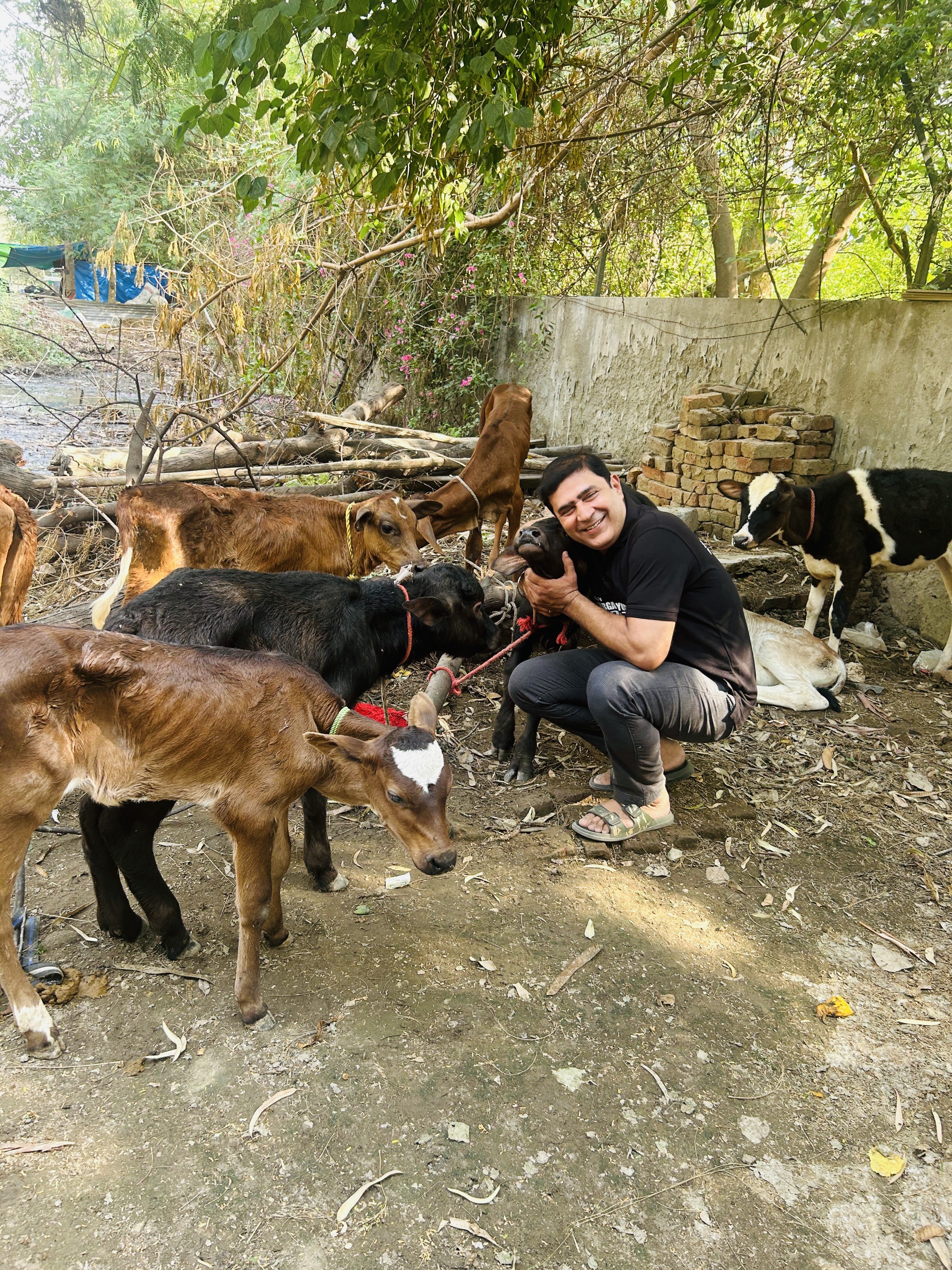 Shri Durga Jyotirmay foundation Image